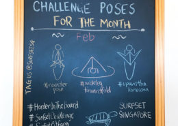 Challenge Poses 2017 February sq